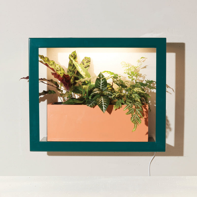 Modern Sprout Smart Standard Growframe Grow Light