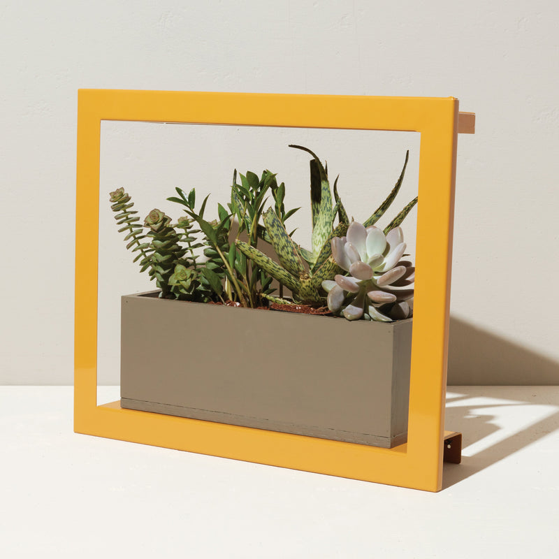 Modern Sprout Smart Standard Growframe Grow Light