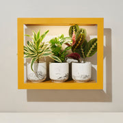 Modern Sprout Smart Standard Growframe Grow Light