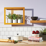 Modern Sprout Smart Standard Growframe Grow Light