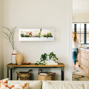 Modern Sprout Smart Landscape Growframe Grow Light