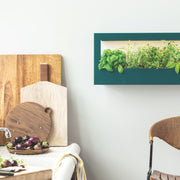 Modern Sprout Smart Landscape Growframe Grow Light