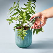 Modern Sprout Gardening Shears & Pruners Accessory