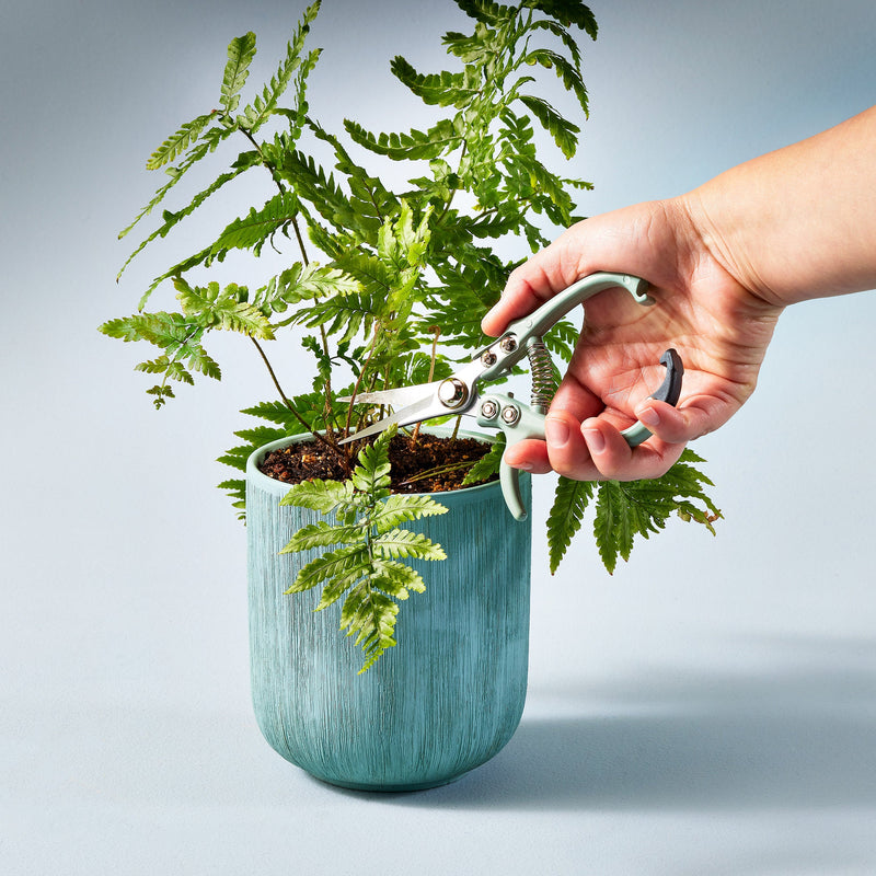 Modern Sprout Gardening Shears & Pruners Accessory