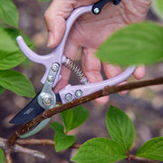 Modern Sprout Gardening Shears & Pruners Accessory