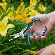 Modern Sprout Gardening Shears & Pruners Accessory