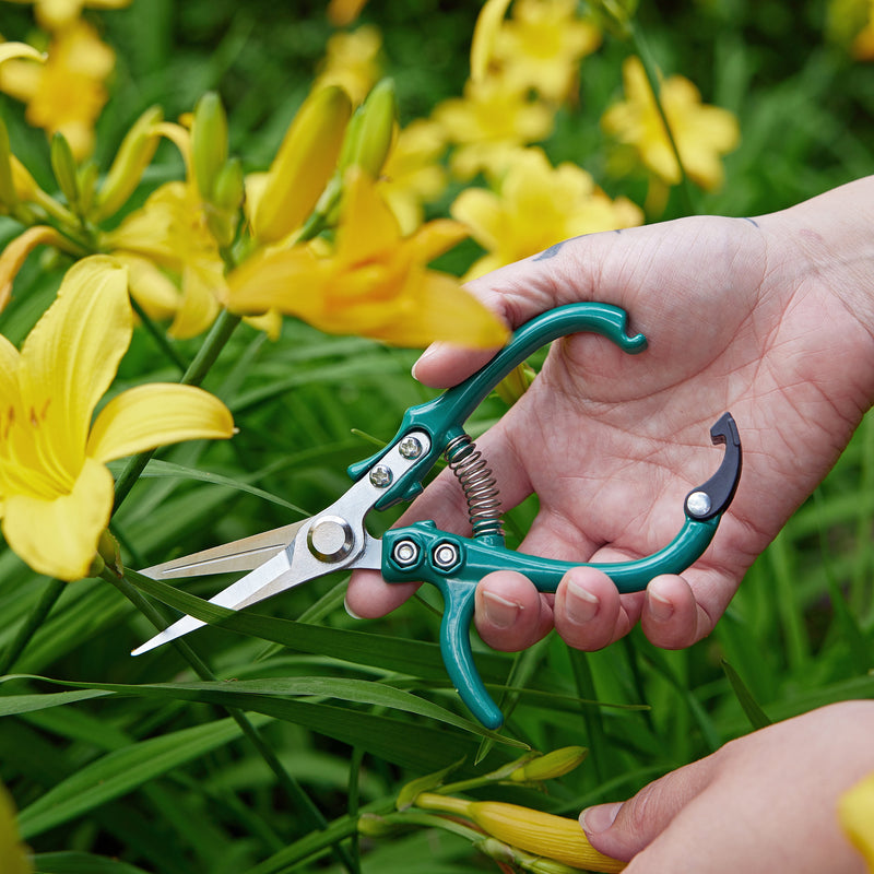 Modern Sprout Gardening Shears & Pruners Accessory