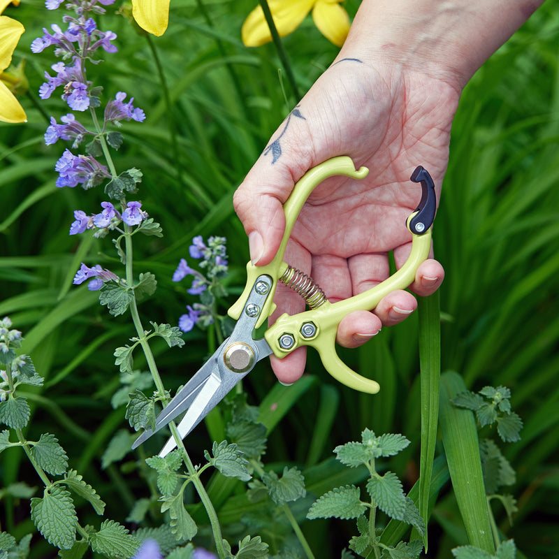 Modern Sprout Gardening Shears & Pruners Accessory