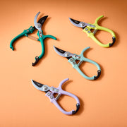 Modern Sprout Gardening Shears & Pruners Accessory