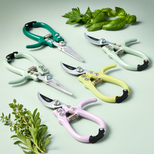 Modern Sprout Gardening Shears & Pruners Accessory