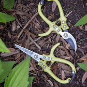 Modern Sprout Gardening Shears & Pruners Accessory