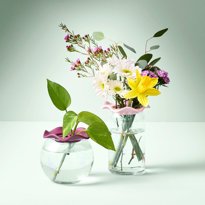 Modern Sprout Botanical Keepers, 2pk Accessory