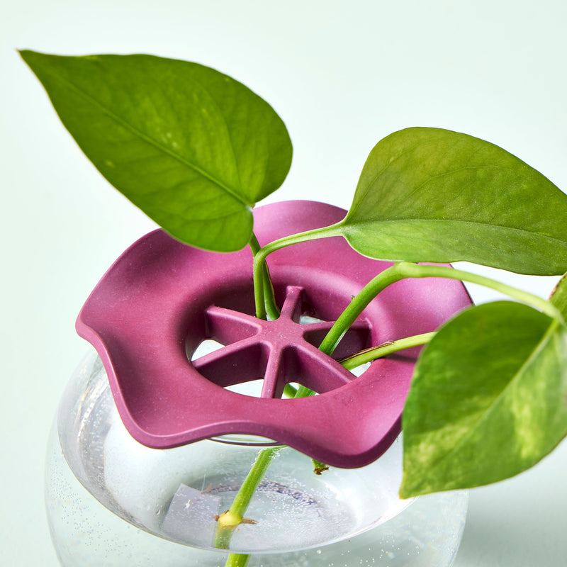 Modern Sprout Botanical Keepers, 2pk Accessory