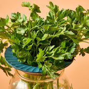 Modern Sprout Produce Keepers, 2pk Accessory