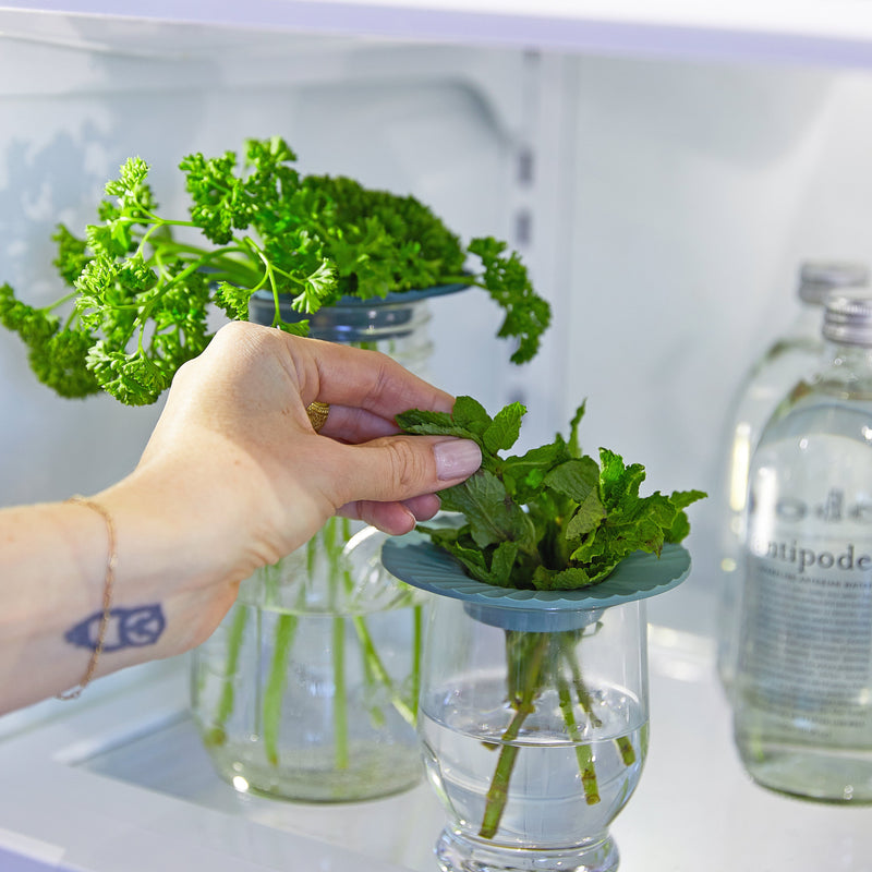 Modern Sprout Produce Keepers, 2pk Accessory