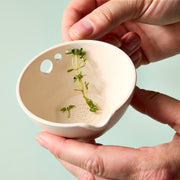 Modern Sprout Peel, Grate & Prep Dish Accessory