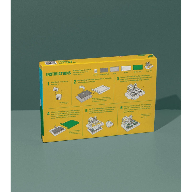 Modern Sprout Microgreens Pop-Up Kit Playful Planting