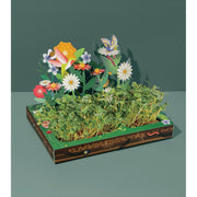 Modern Sprout Microgreens Pop-Up Kit Playful Planting