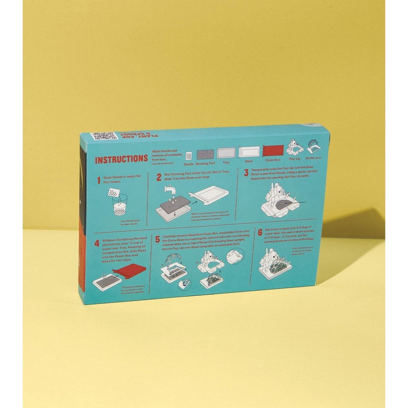 Modern Sprout Microgreens Pop-Up Kit Playful Planting