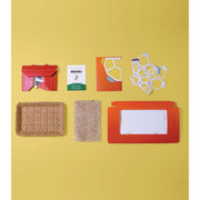 Modern Sprout Microgreens Pop-Up Kit Playful Planting