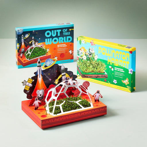 Modern Sprout Microgreens Pop-Up Kit Playful Planting