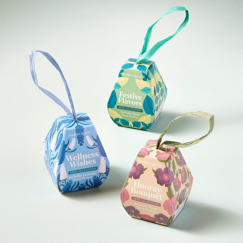 Modern Sprout Seed Salutations Playful Planting