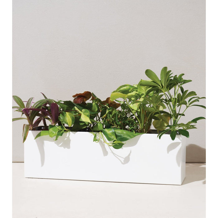 Modern Sprout - Modern Sprout - Planter Box