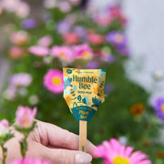 Modern Sprout Seed Pops - Pollinator Playful Planting