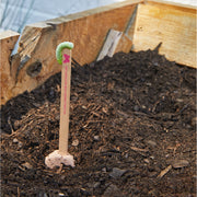 Modern Sprout Seed Pops - Pollinator Playful Planting