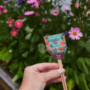 Modern Sprout Seed Pops - Pollinator Playful Planting
