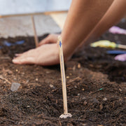 Modern Sprout Seed Pops - Pollinator Playful Planting