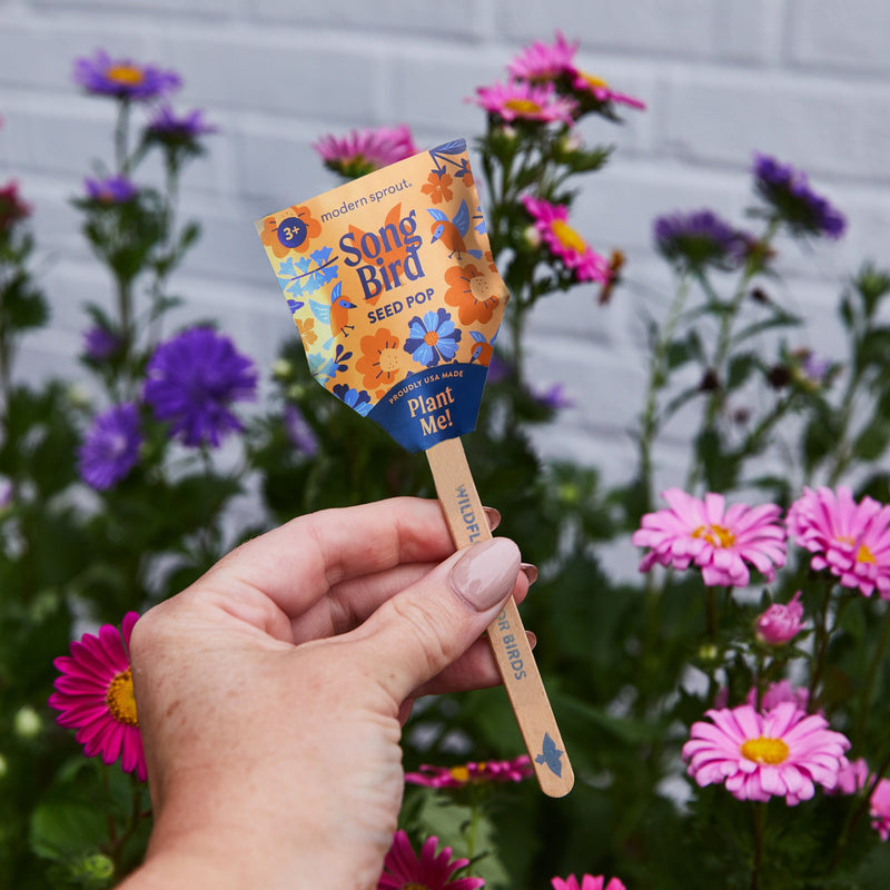 Modern Sprout Seed Pops - Pollinator Playful Planting