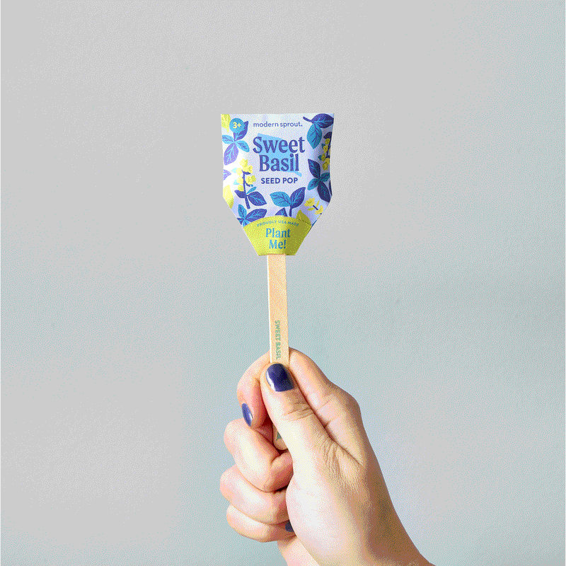 Modern Sprout Seed Pops - Garden Playful Planting