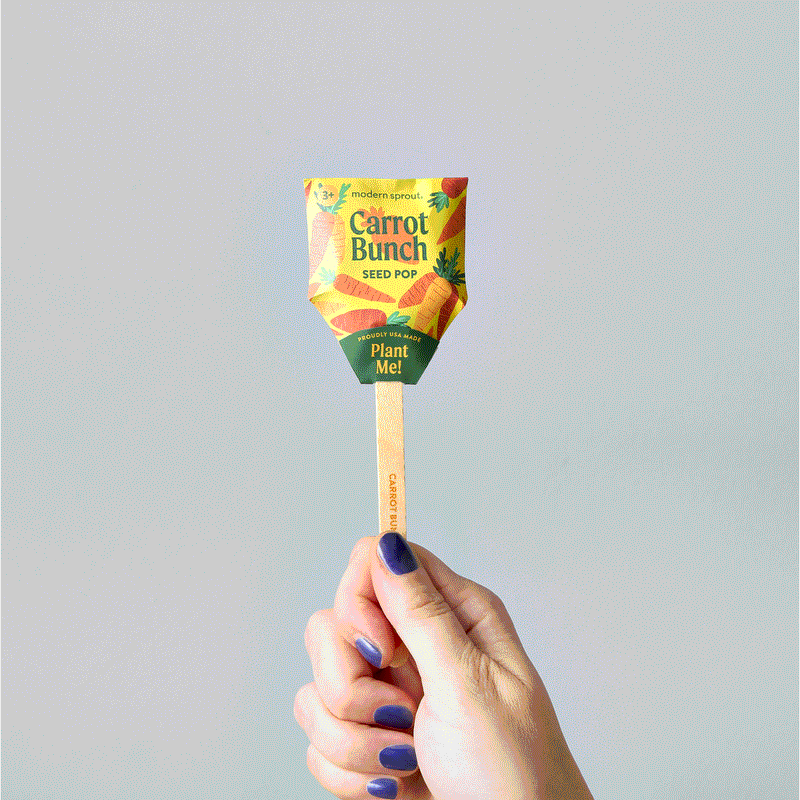 Modern Sprout Seed Pops - Garden Playful Planting
