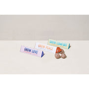 Modern Sprout Bright Side Seed Balls Playful Planting