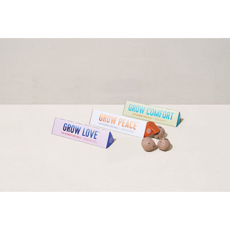 Modern Sprout Bright Side Seed Balls Playful Planting
