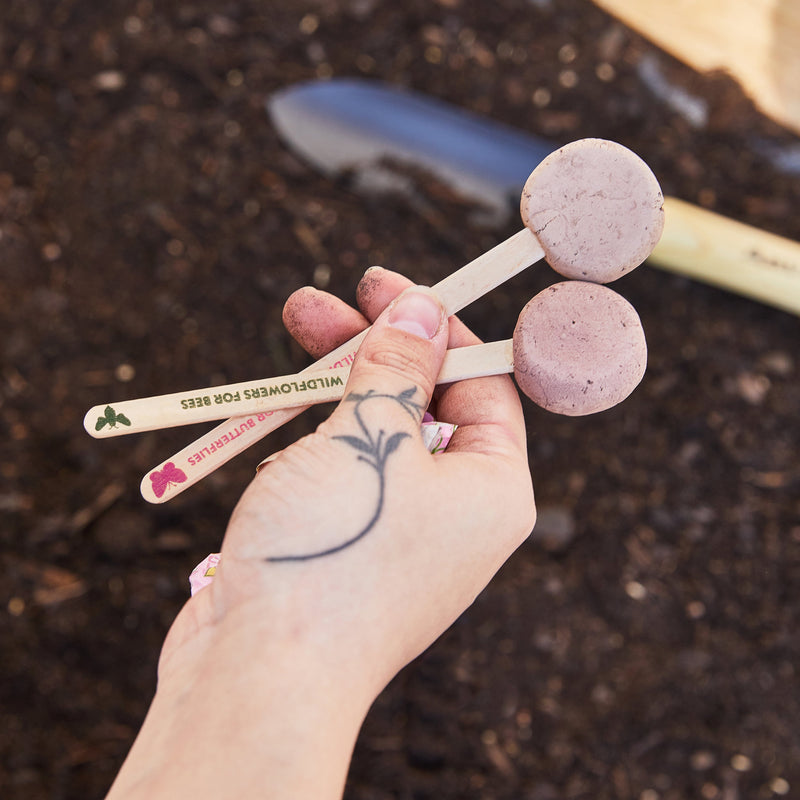 Modern Sprout Seed Pops - Pollinator Playful Planting