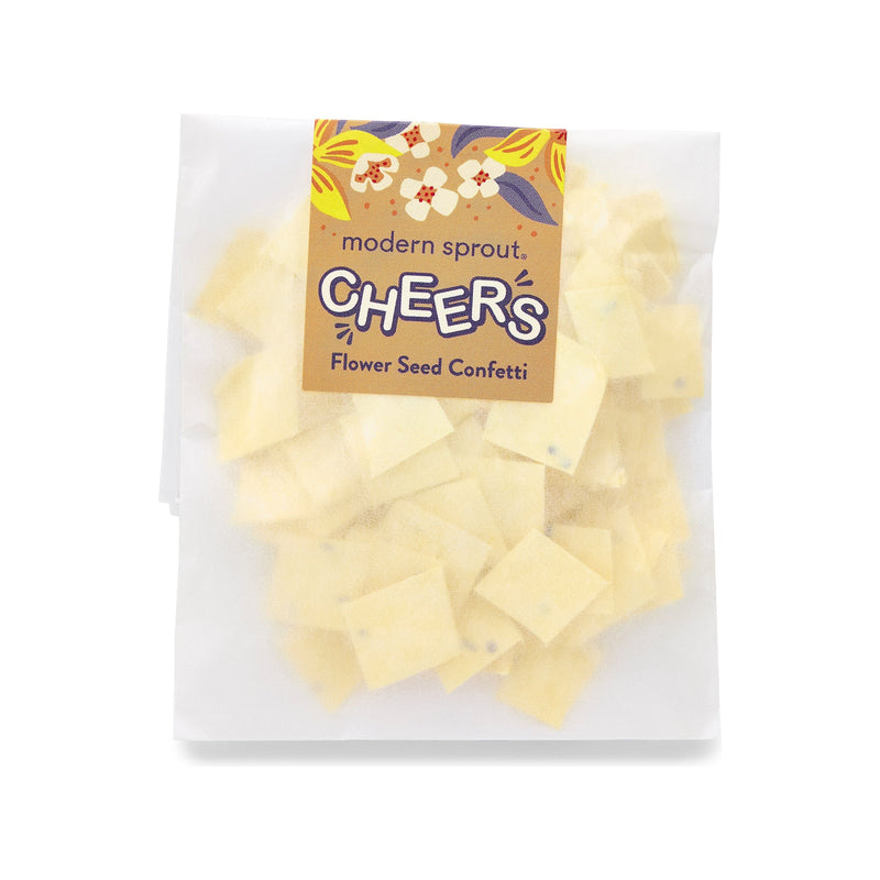 Modern Sprout Seed Paper Confetti Refill Packs Playful Planting