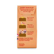 Modern Sprout Easter Plops Playful Planting