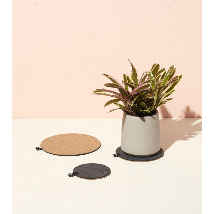 Modern Sprout - Modern Sprout - Planter Trivets