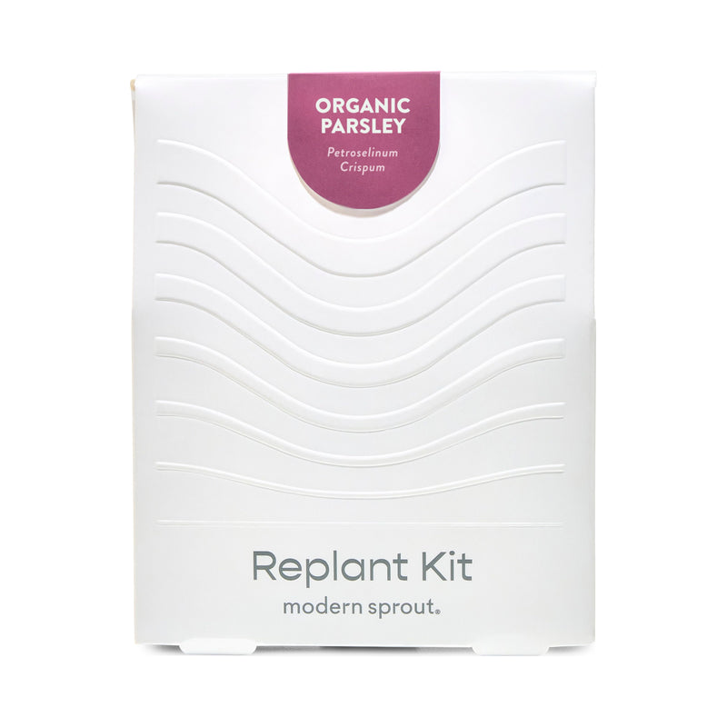 Modern Sprout Immersion Hydroponic Replant Kit Accessory