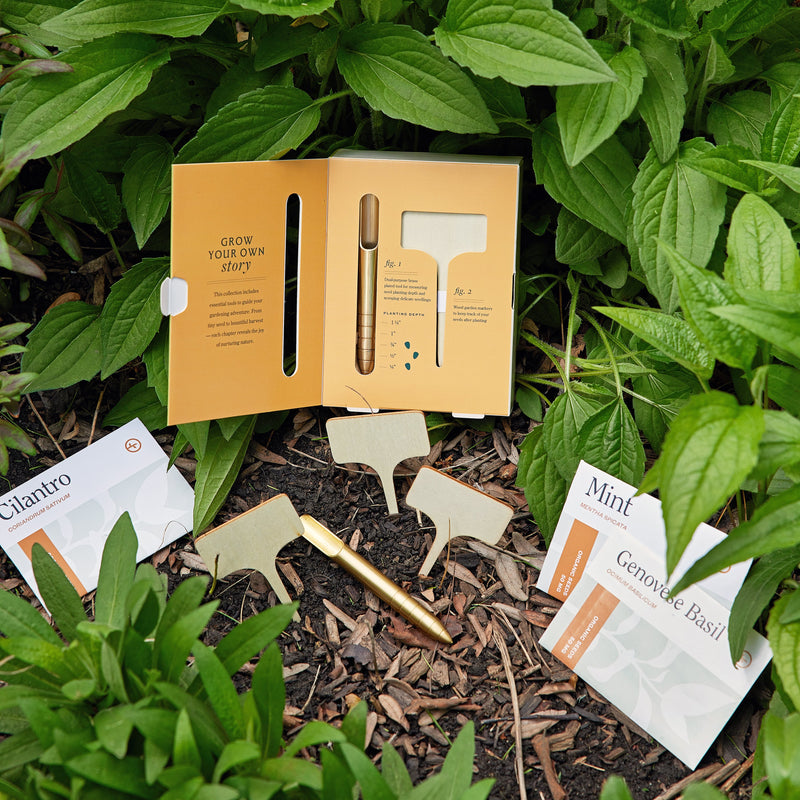 Modern Sprout Seed Library Gift Set