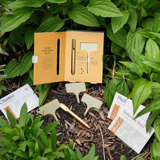 Modern Sprout Seed Library Gift Set