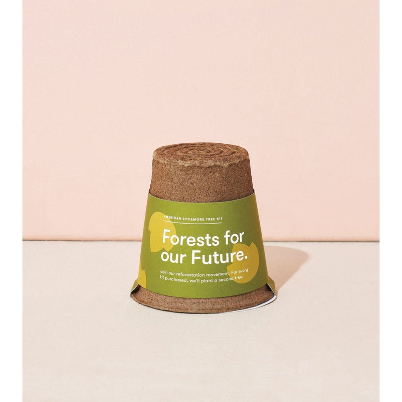 Modern Sprout One-For-One Tree Kits Playful Planting