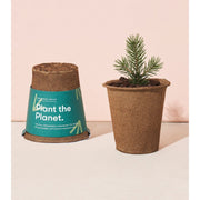 Modern Sprout One-For-One Tree Kits Playful Planting