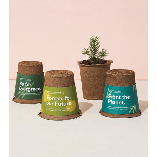 Modern Sprout One-For-One Tree Kits Playful Planting