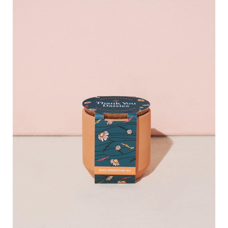 Modern Sprout Tiny Terracotta Kits Indoor Garden Kit