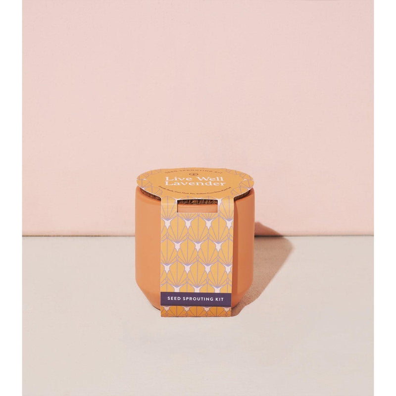 Modern Sprout Tiny Terracotta Kits Indoor Garden Kit