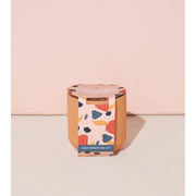 Modern Sprout Tiny Terracotta Kits Indoor Garden Kit