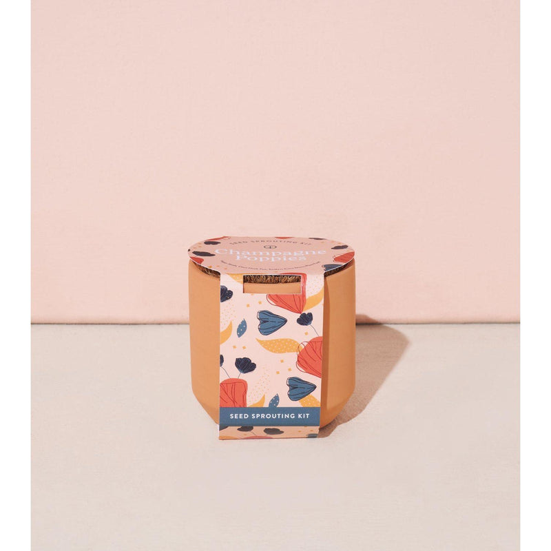 Modern Sprout Tiny Terracotta Kits Indoor Garden Kit